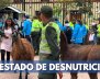 llamas