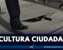 Láminas