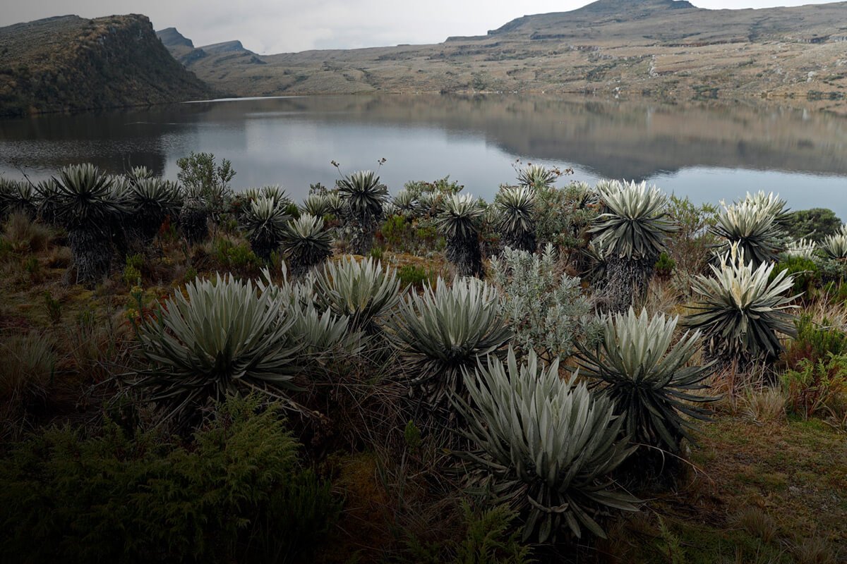 Conéctese al Especial AHORA ‘Vivir en Sumapaz’ Capital
