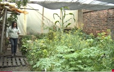 Rosa Poveda en su granja comunitaria