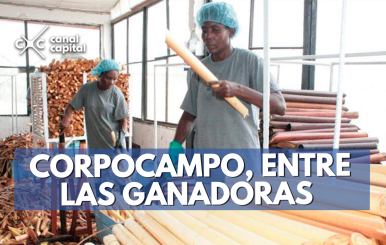 Foto de: Corpocampo