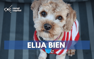 elija-bien-min