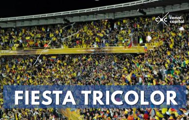 FIESTA-TRICOLOR-