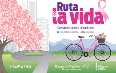 Imagen_RUTAPORLAVIDA_curvas
