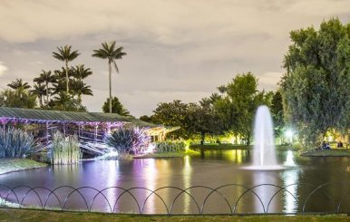 jardin_botanico