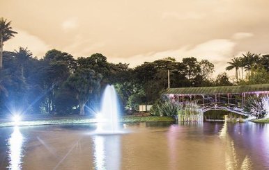 jardin_botanico_0