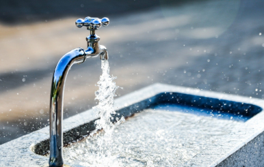 Agua