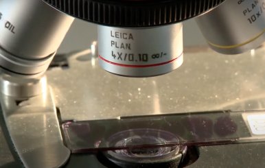 Laboratorio