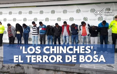los-chinches