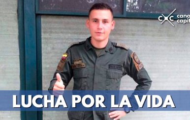 LUCHA-POR-SU-VIDA