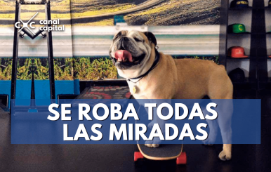 miradas-min