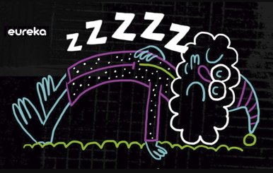  hábitos del sueño