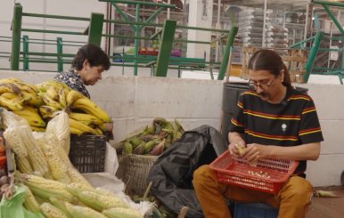 Plazas de mercado: donde el campo y la ciudad se encuentran 