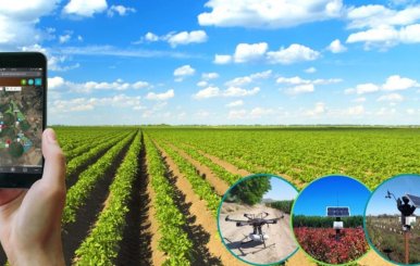 Agro y abastecimiento