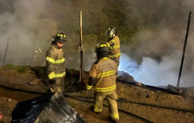Bomberos apagando un incendio en un bosque