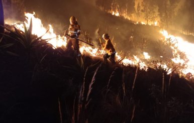 Bomberos apagando un incendio en un bosque