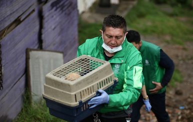 Rescate de animales de criaderos ilegales