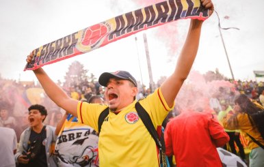 Hincha de la Selección Colombia en Bogotá