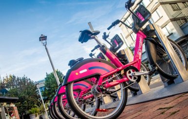 Bicicletas rosadas
