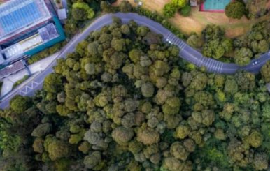 Vista aérea de ambiente natural en Bogotá