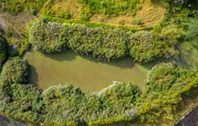 Imagen aérea de la Reserva Van der Hammen