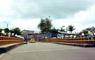 Imagen frontal del Puente de la Virgen, sobre la Avenida Suba