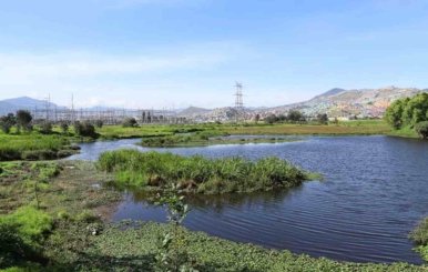 Imagen panorámica de uno de los humedales de Bogotá 
