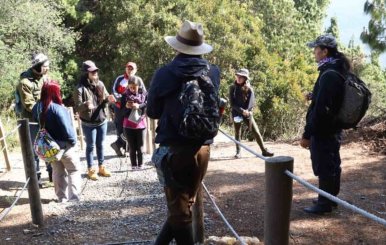 Personas reunidas en uno de los senderos ecológicos de Bogotá