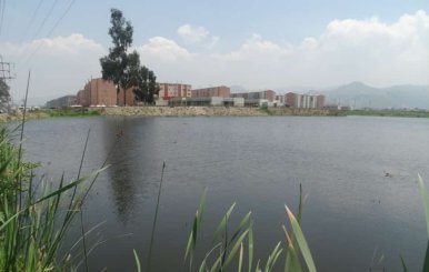 Humedal Juan Amarillo