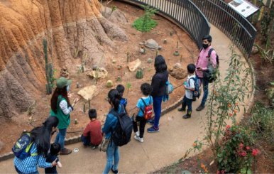 Niños en recorrido del Club de Ciencias