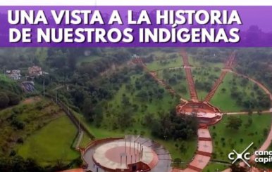 Mirador de los Nevados