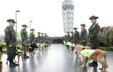 Formación de la Policía Canina del Aeropuerto El Dorado. 