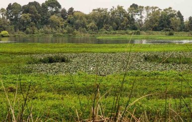 Uno de los 15 humadelas de Bogotá