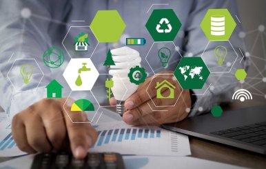 Proyectos sostenibles