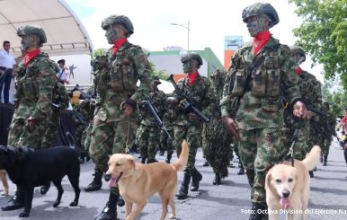 Octava División del Ejército Nacional