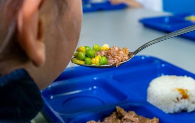 Alimentos del PAE