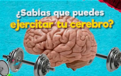 Creatividad artículo
