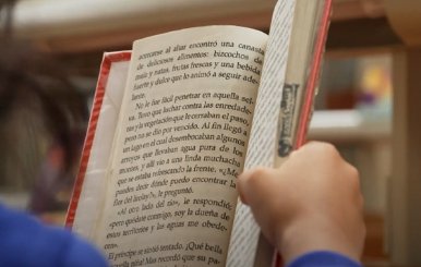 libros sobre vampiros