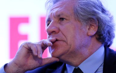 Organization of American States (OAS) Secretary-General Luis Almagro gestures during the Democratic Solidarity in Latin America meeting organised by Forum 2000 Foundation in Mexico City