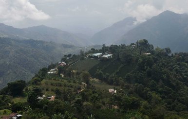 paramo