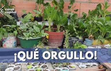 el-regalo-barrio-limpio