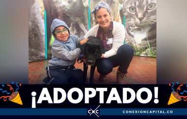 ¡Un motivo para celebrar! Torcido, un perrito de difícil adopción, ya tiene hogar