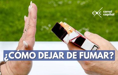 plantilla noticias-3