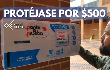 plantilla noticias ok arriba (10)