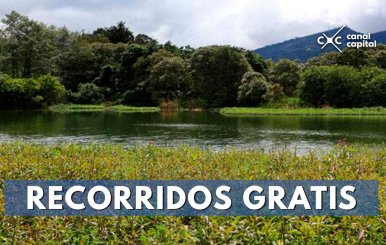 RECORRIDOS-GRATIS