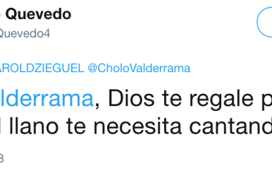 Seguidor-Cholo