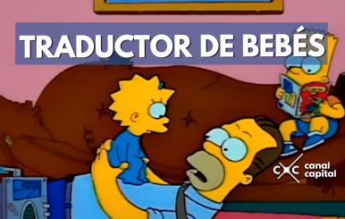 traductor-bb-min
