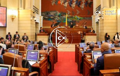 SENADO