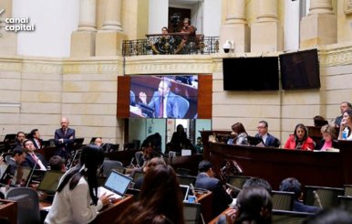 senado