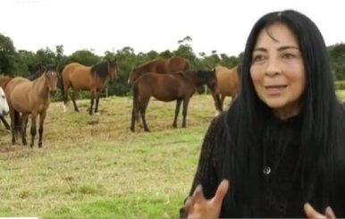 Dama de los caballos